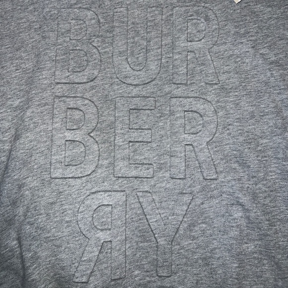 Burberry Children Grey Hoodie 4Y NWT Unisex - Picture 2 of 12